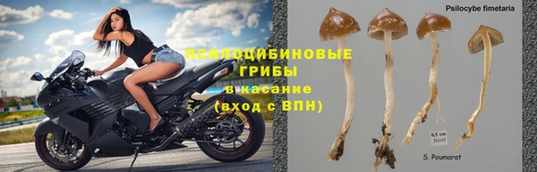 стаф Бронницы